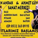 Ahmet Guvenc3